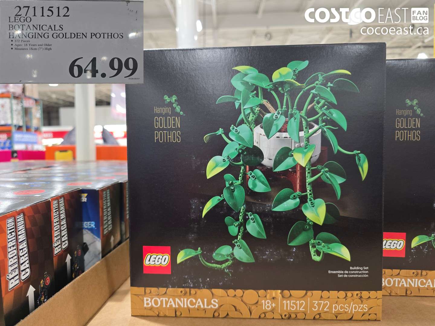 2711512 LEGO BOTANICALS HANGING GOLDEN POTHOS $64.99