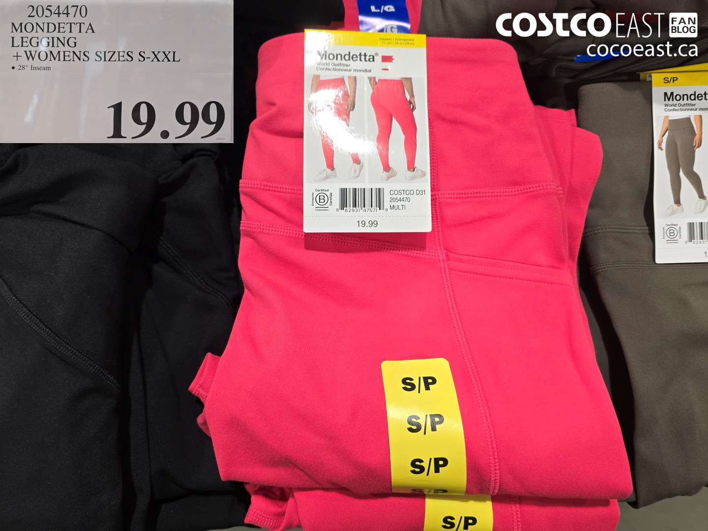 2054470 MONDETTA LEGGING WOMENS SIZES S-XXL $19.99