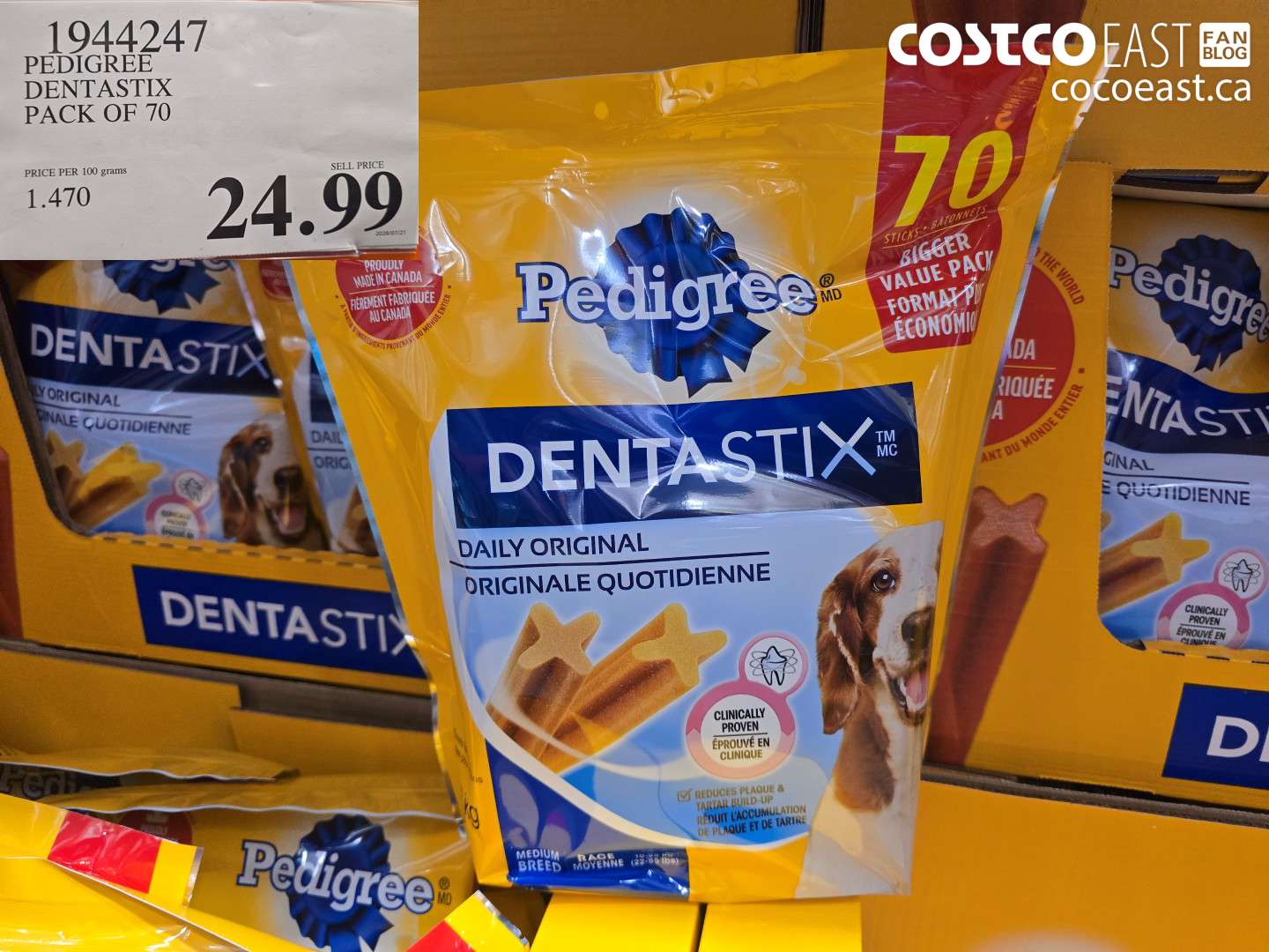 1944247 PEDIGREE DENTASTIX PACK OF 70 $24.99