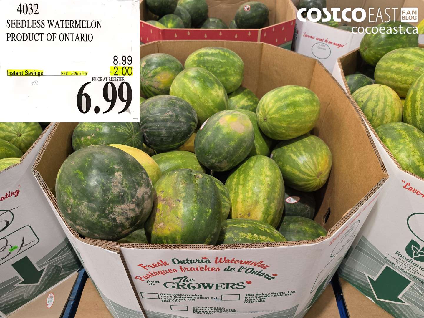 4032 SEEDLESS WATERMELON PRODUCT OF ONTARIO ($2.00 INSTANT SAVINGS EXPIRES ON 2026-09-05) $6.99