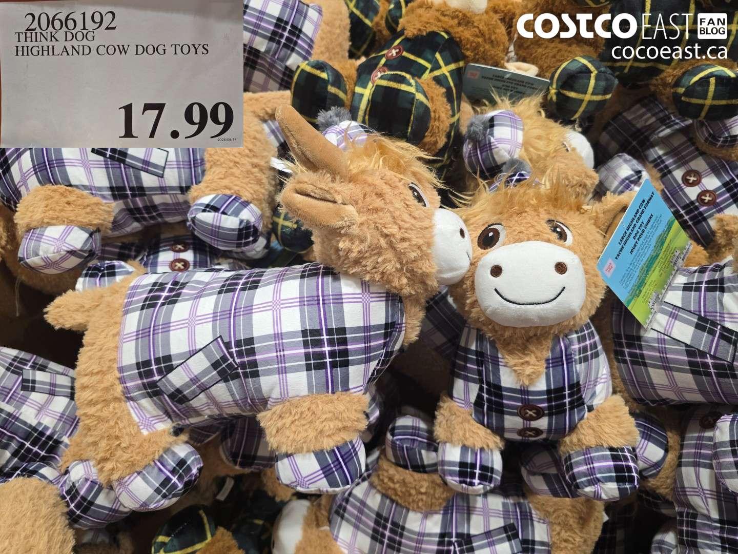2066192 THINK DOG HIGHLAND COW DOG TOYS $17.99