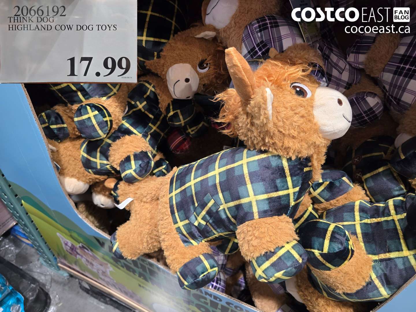 2066192 THINK DOG HIGHLAND COW DOG TOYS $17.99