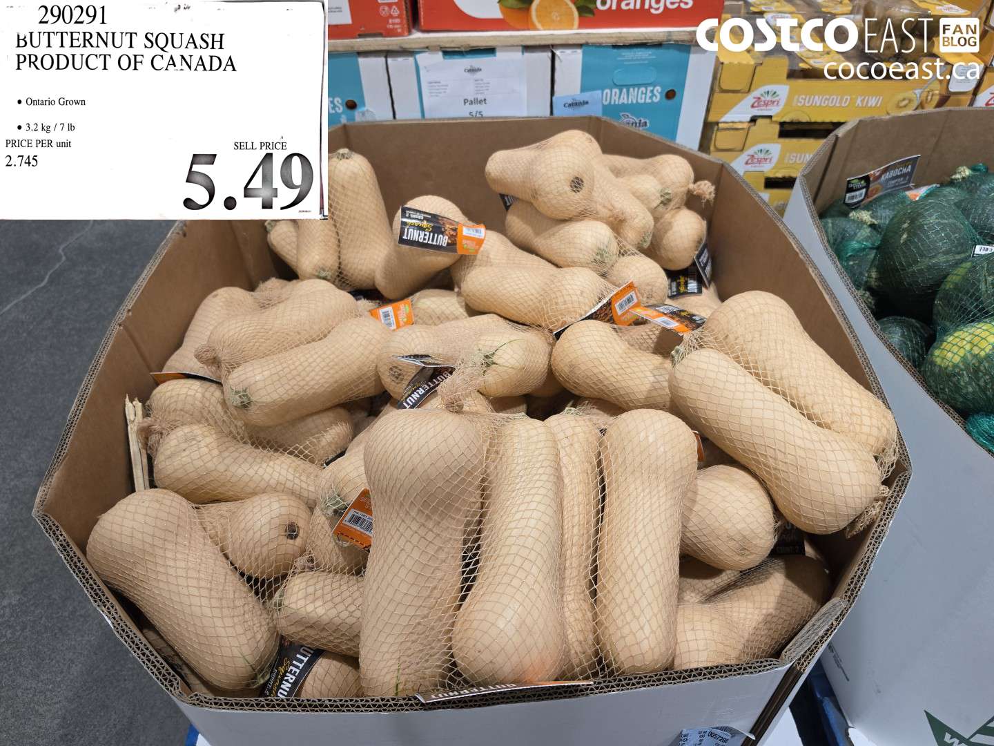 290291 BUTTERNUT SQUASH PRODUCT OF CANADA $5.49