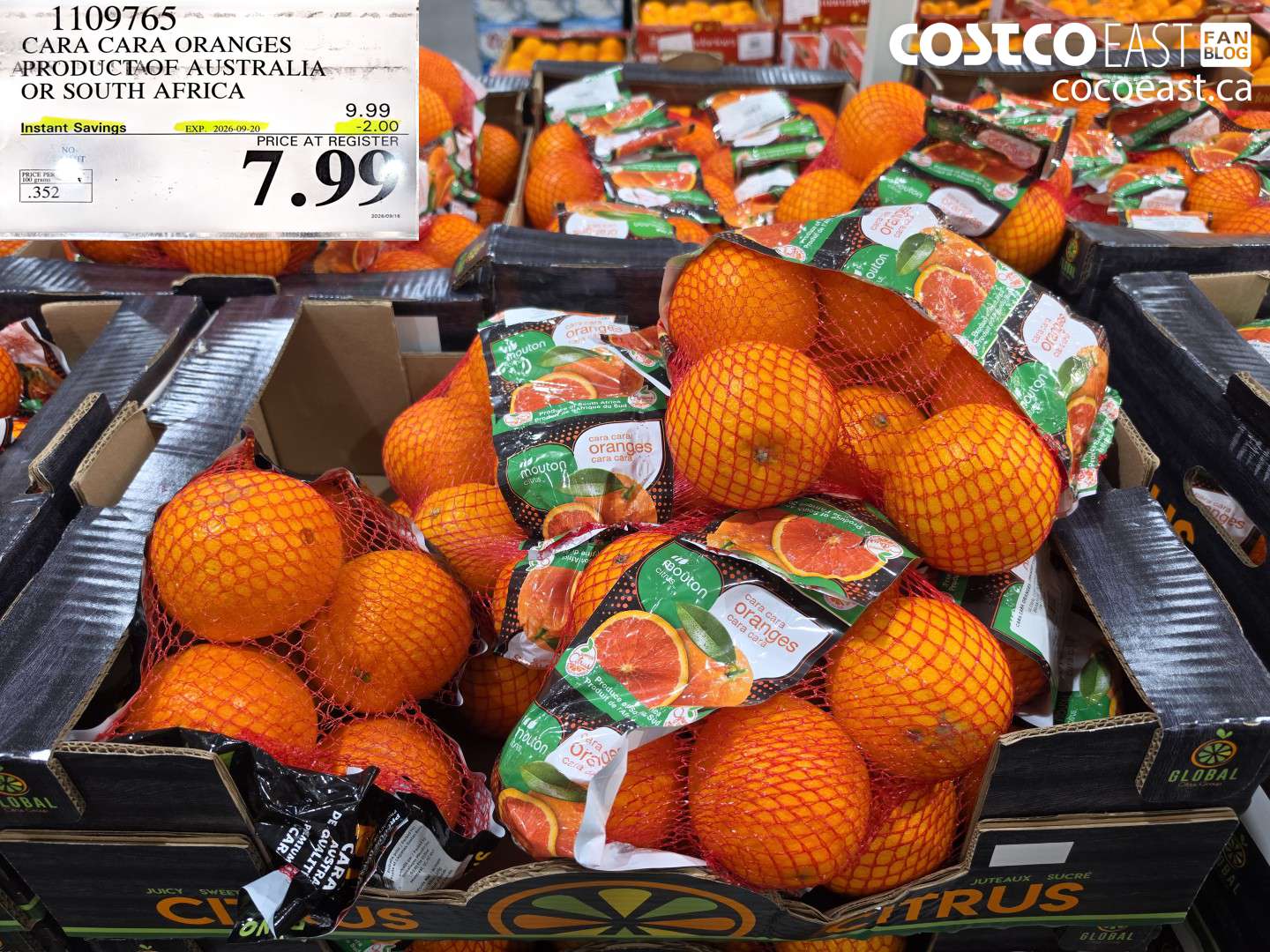 1109765 CARA CARA ORANGES A PRODUCT OF AUSTRALIA OR SOUTH AFRICA ($2.00 INSTANT SAVINGS EXPIRES ON 2026-09-20) $7.99