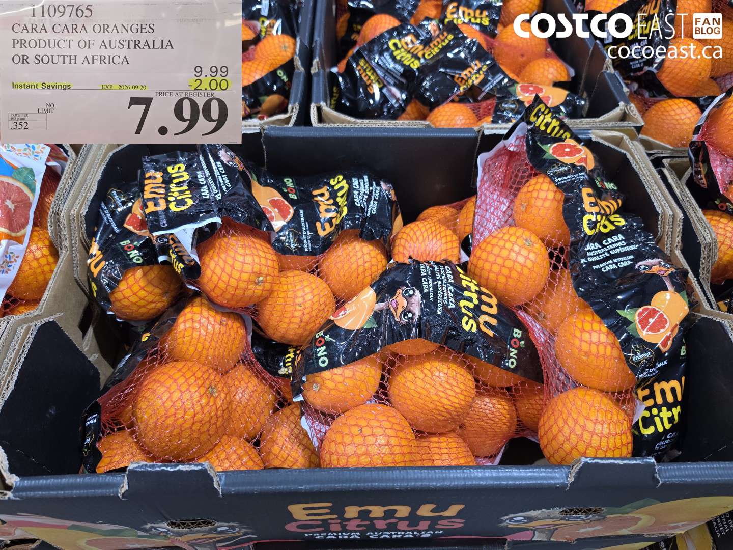 1109765 CARA CARA ORANGES PRODUCT OF AUSTRALIA OR SOUTH AFRICA ($2.00 INSTANT SAVINGS EXPIRES ON 2026-09-20) $7.99