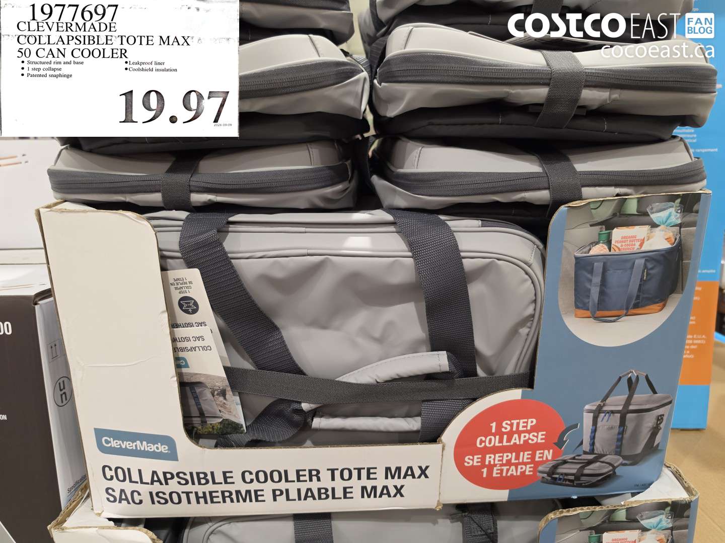 1977697 CLEVERMADE COLLAPSIBLE TOTE MAX 50 CAN COOLER $19.97