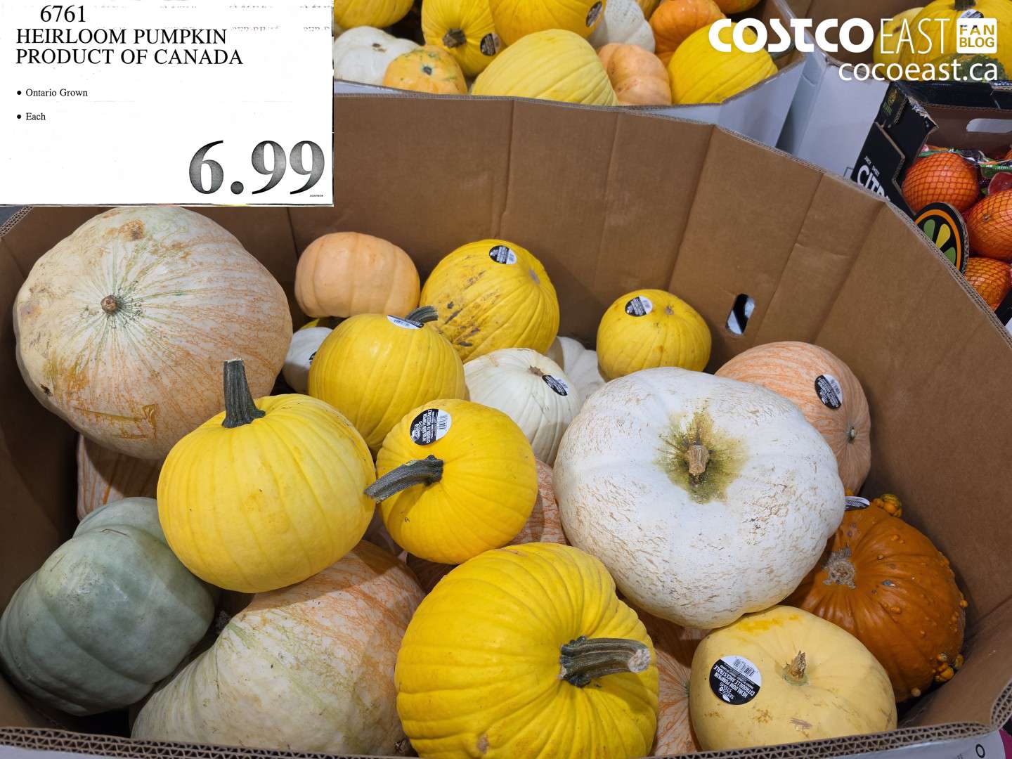 6761 HEIRLOOM PUMPKIN PRODUCT OF CANADA $6.99
