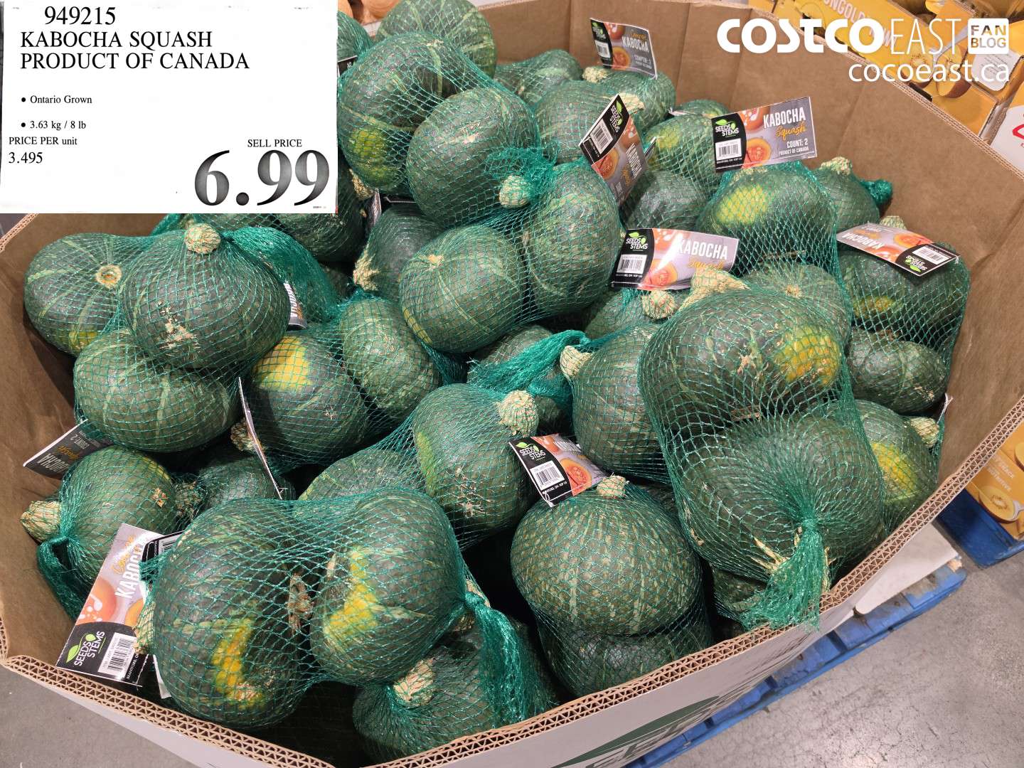 949215 KABOCHA SQUASH PRODUCT OF CANADA $6.99