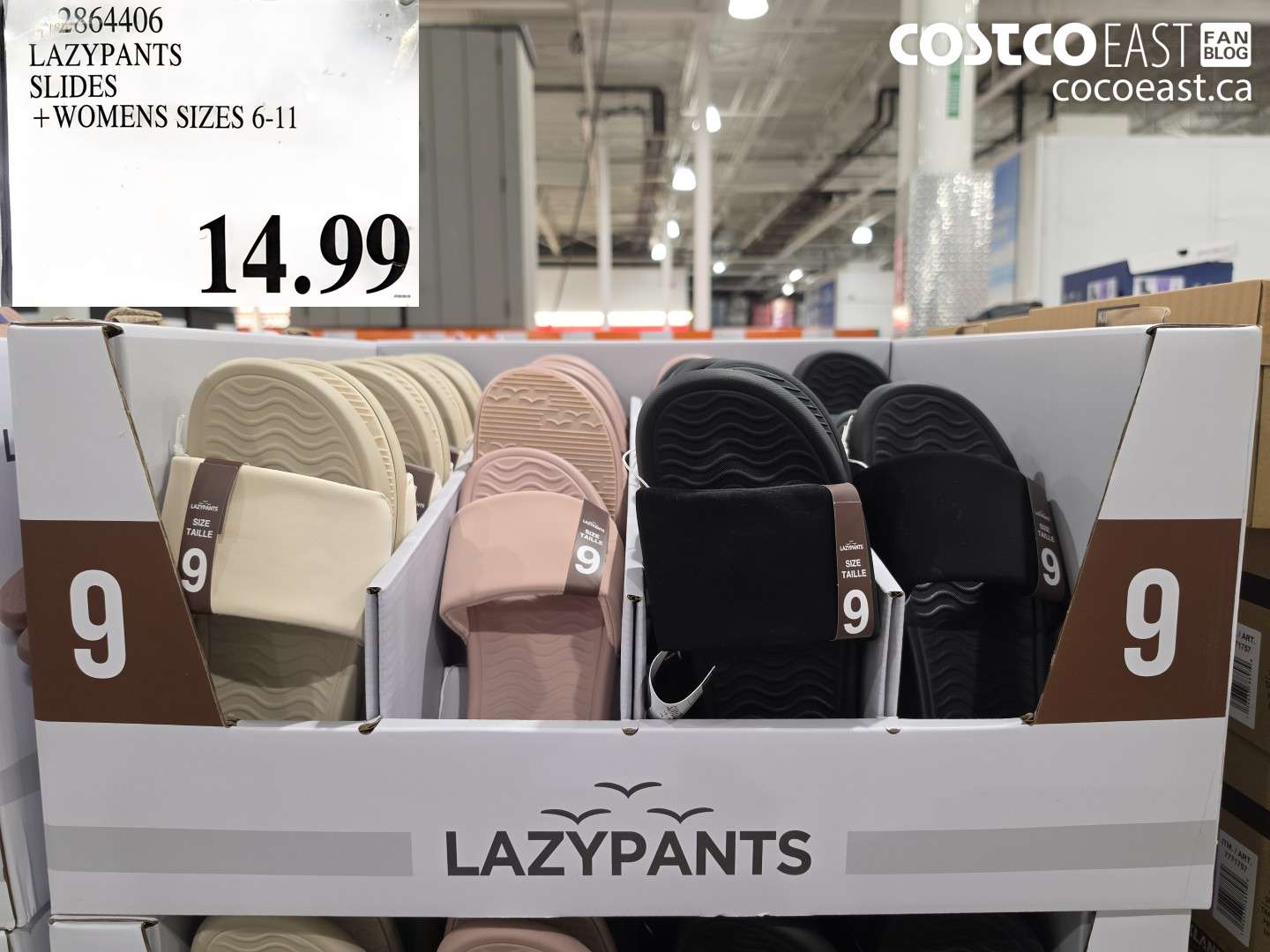 2864406 LAZYPANTS SLIDES + WOMENS SIZES 6-11 $14.99