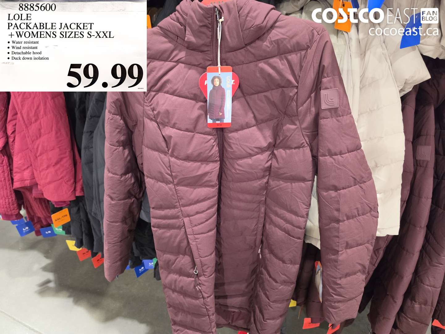 8885600 LOLE PACKABLE JACKET + WOMENS SIZES S-XXL $59.99