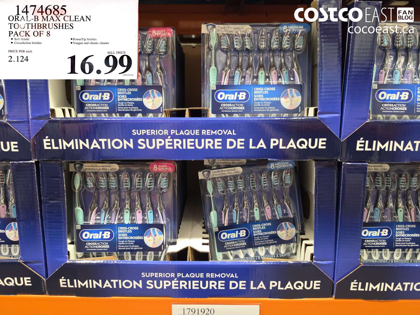 1474685 ORAL-B MAX CLEAN TOOTHBRUSHES PACK OF 8 $16.99