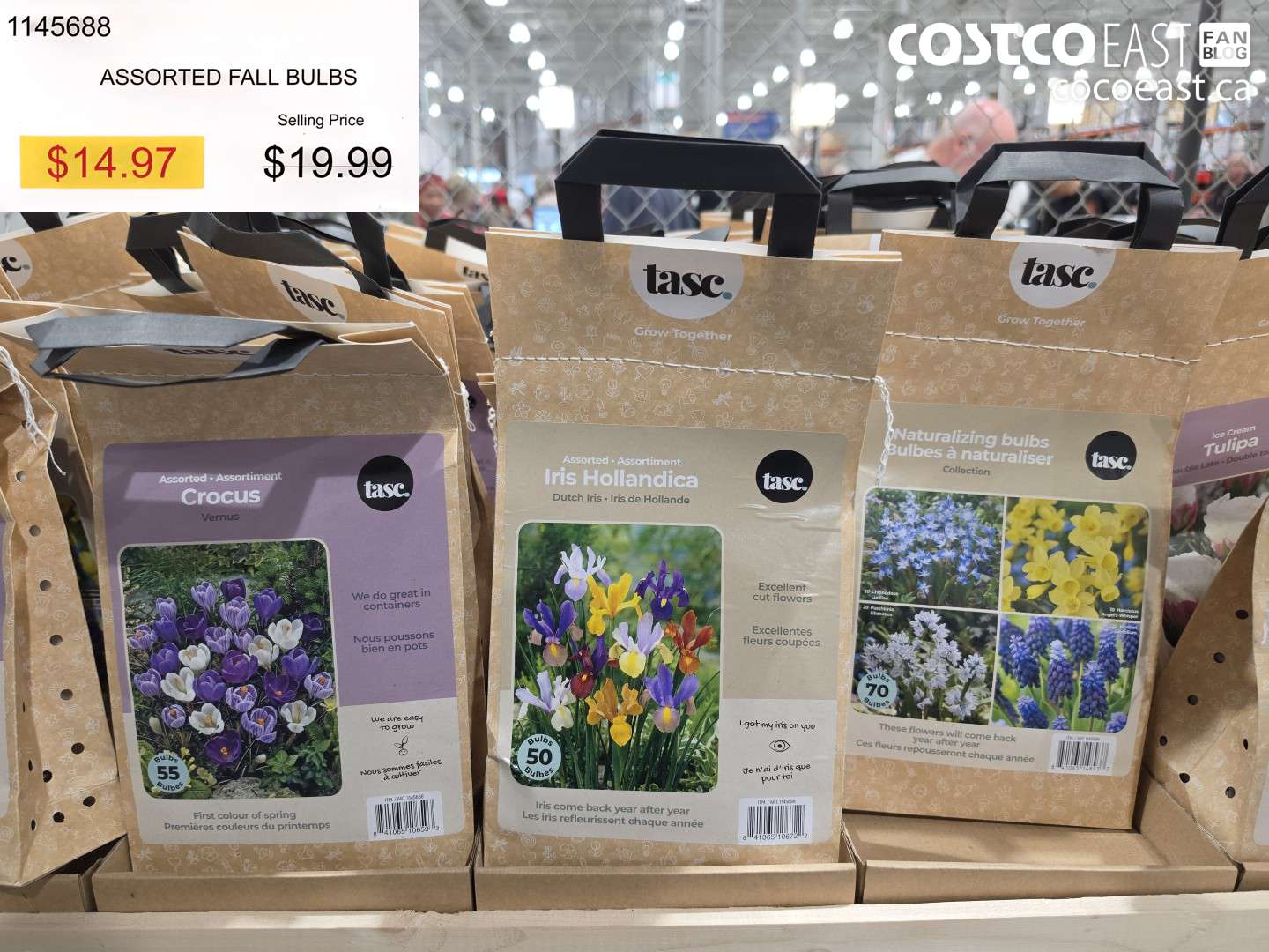 1145688 ASSORTED FALL BULBS $14.97