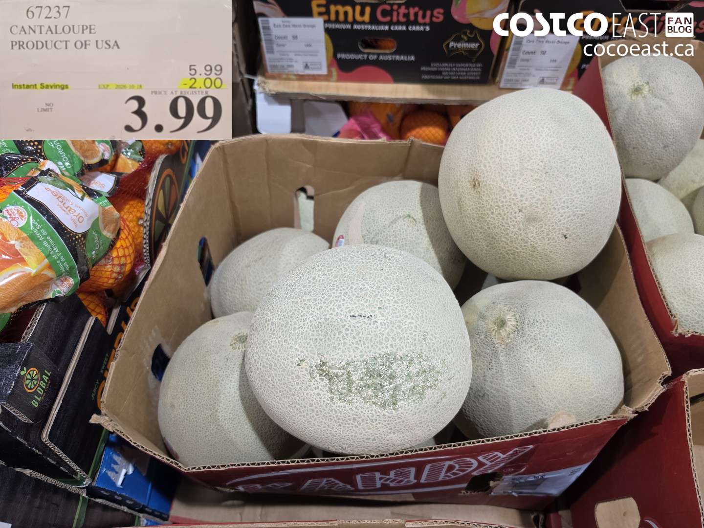 67237 CANTALOUPE PRODUCT OF USA ($2.00 INSTANT SAVINGS EXPIRES ON 2025-10-15) $3.99