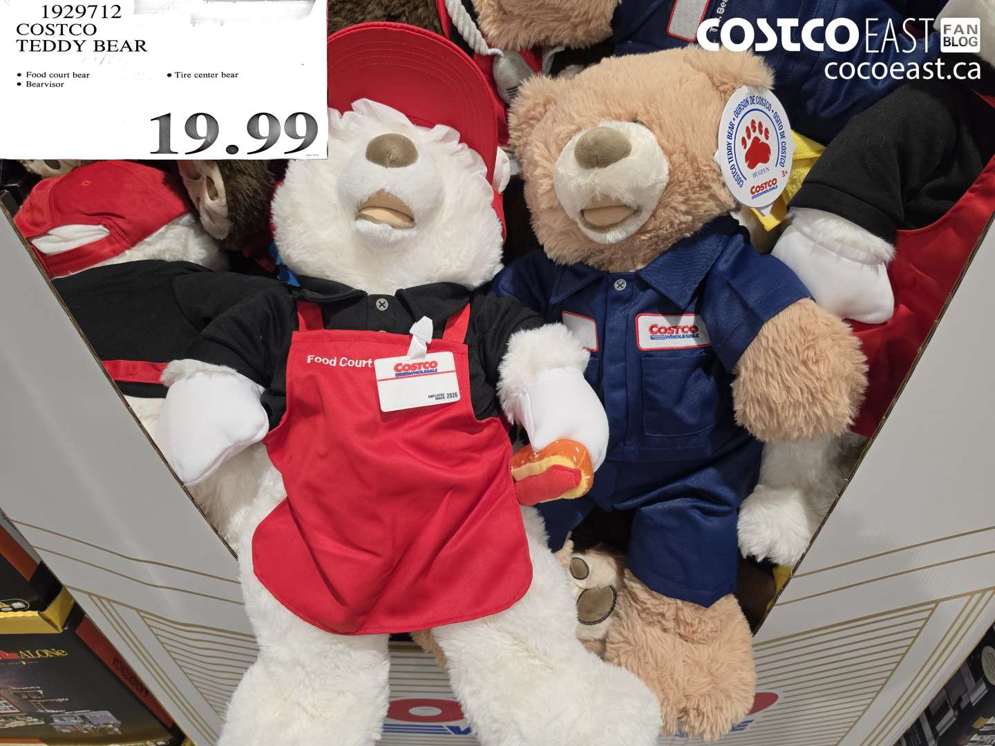 1929712 COSTCO TEDDY BEAR $19.99