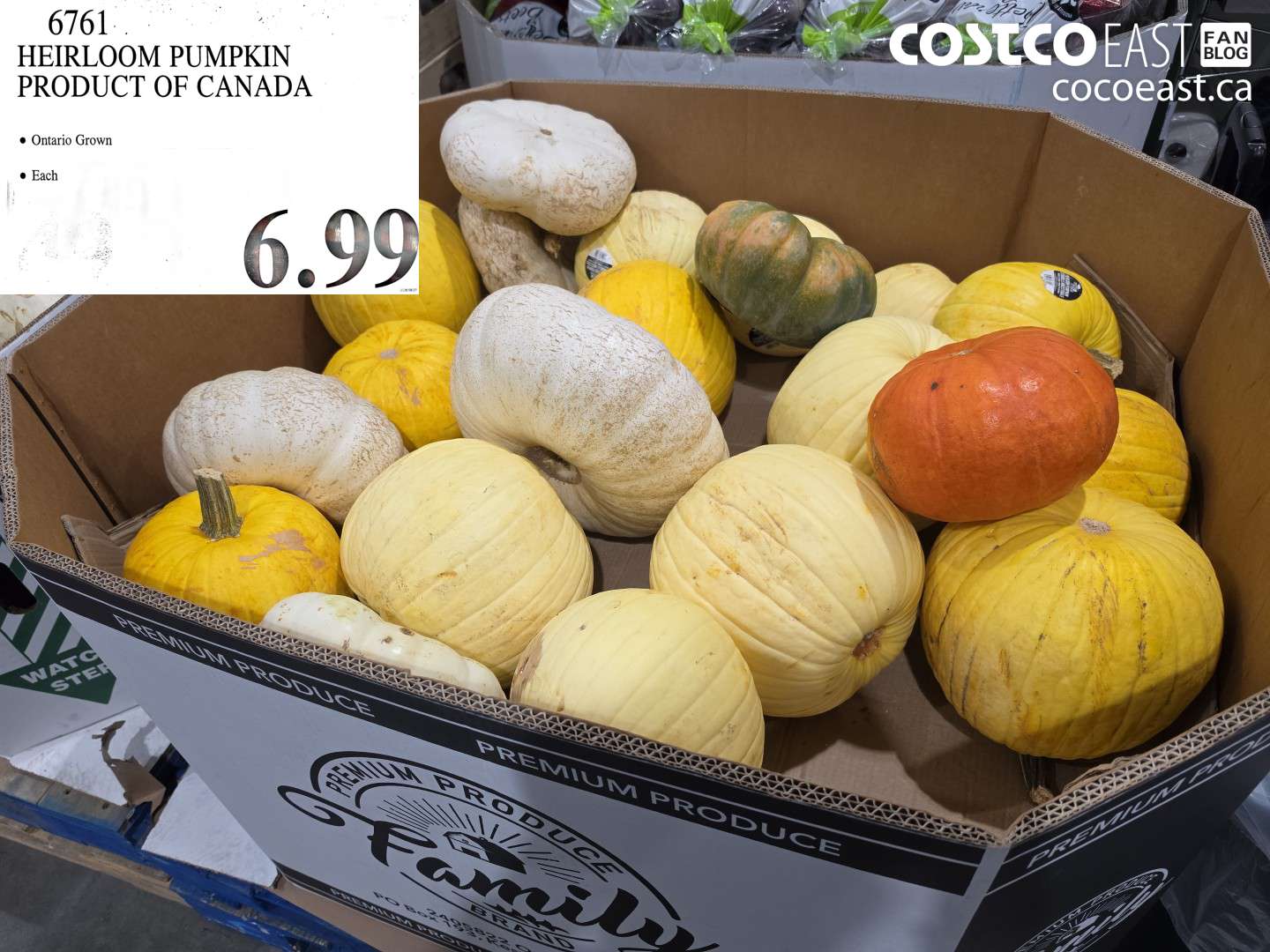 6761 HEIRLOOM PUMPKIN PRODUCT OF CANADA $6.99