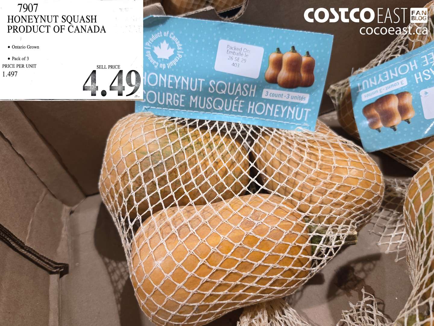 7907 HONEYNUT SQUASH PRODUCT OF CANADA $4.49