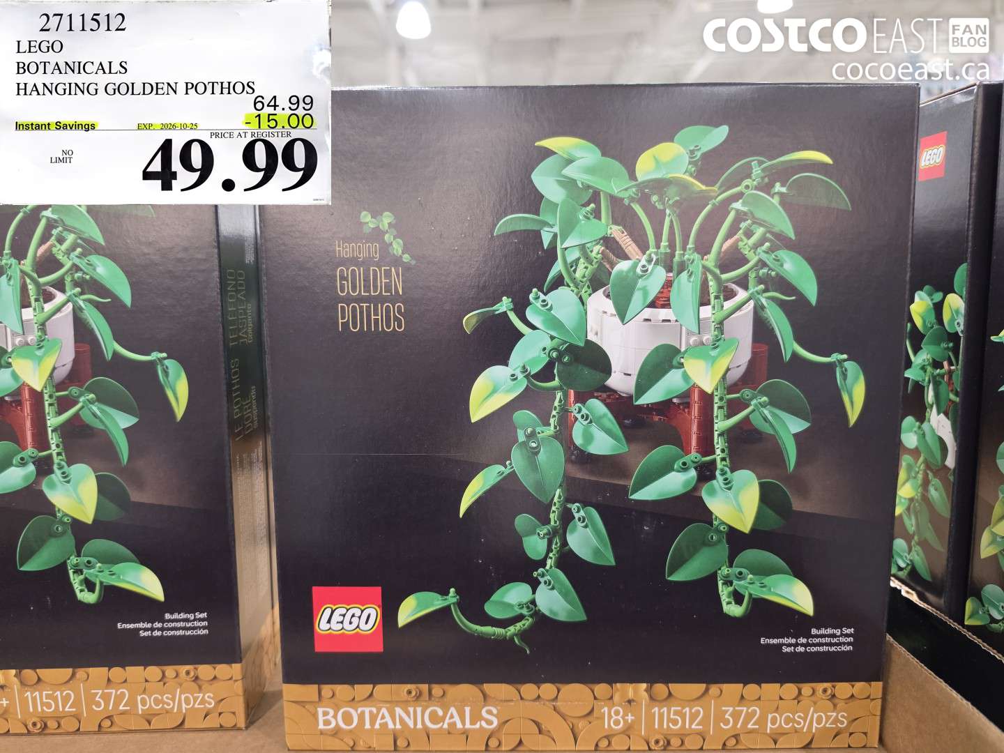 2711512 LEGO BOTANICALS HANGING GOLDEN POTHOS ($15.00 INSTANT SAVINGS EXPIRES ON 2026-10-25) $49.99
