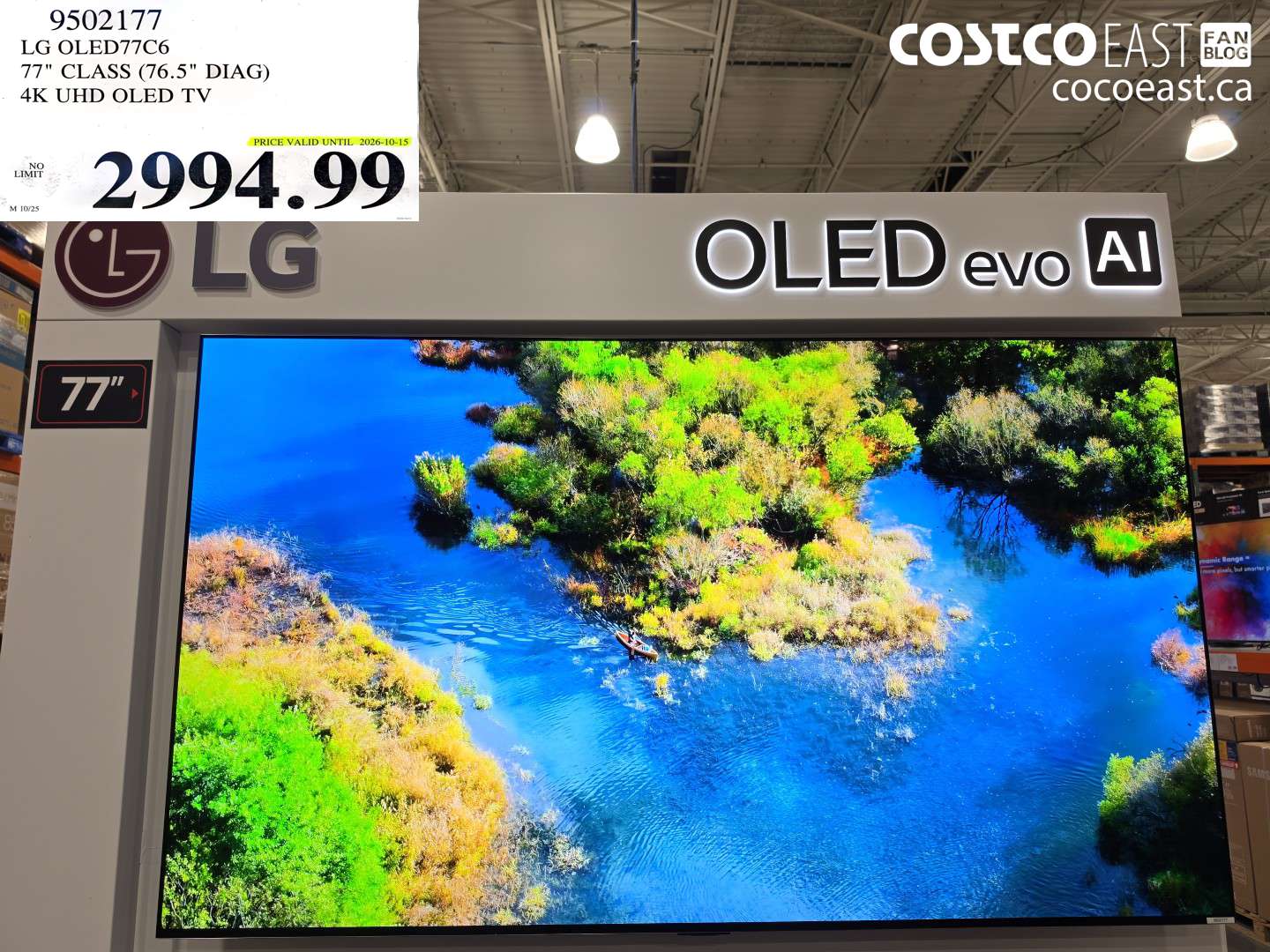9502177 LG OLED77C6 77