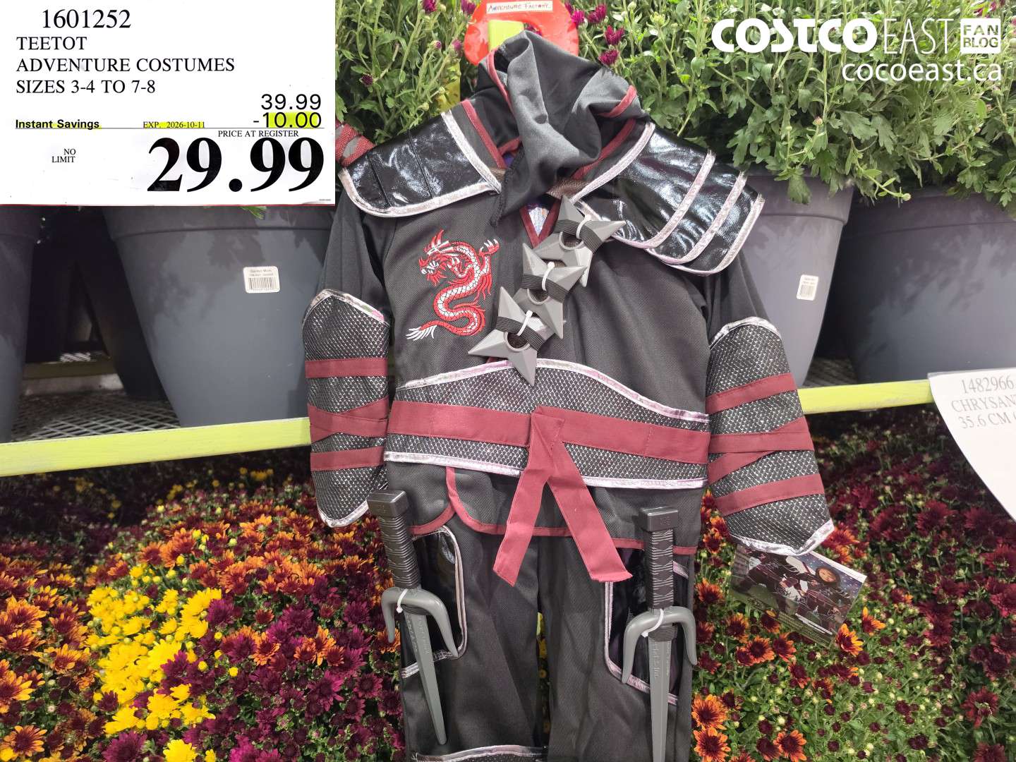 1601252 TEETOT ADVENTURE COSTUMES SIZES 3-4 TO 7-8 ($10.00 INSTANT SAVINGS EXPIRES ON 2026-10-11) $29.99