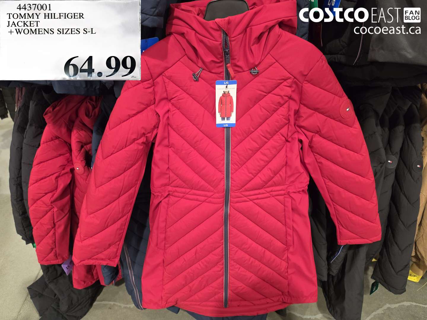 4437001 TOMMY HILFIGER JACKET WOMENS SIZES S-L $64.99