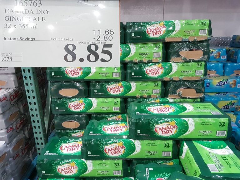 165763 CANADA DRY GINGER ALE 32 X 355 ML 2 80 INSTANT SAVINGS EXPIRES