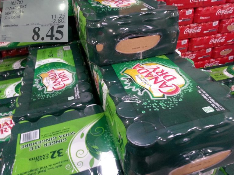 165763 CANADA DRY GINGER ALE 32 X 355 ML 2 80 INSTANT SAVINGS EXPIRES