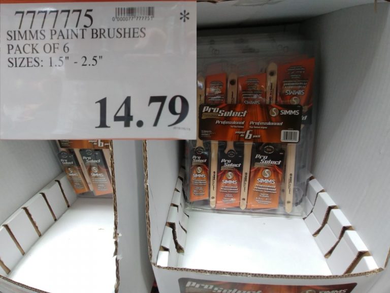 7777775 SIMMS PAINT BRUSHES PACK OF 6 SIZES 1 5 2 5 14 79 Costco East