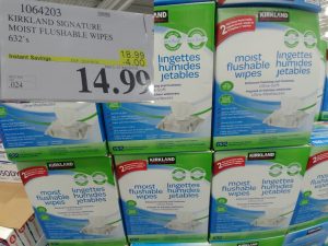 Dude Wipes Flushable Wet Wipes Genuine Kirkland Moist Flushable