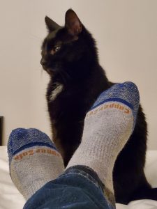 Ewok, #Cats of Costco