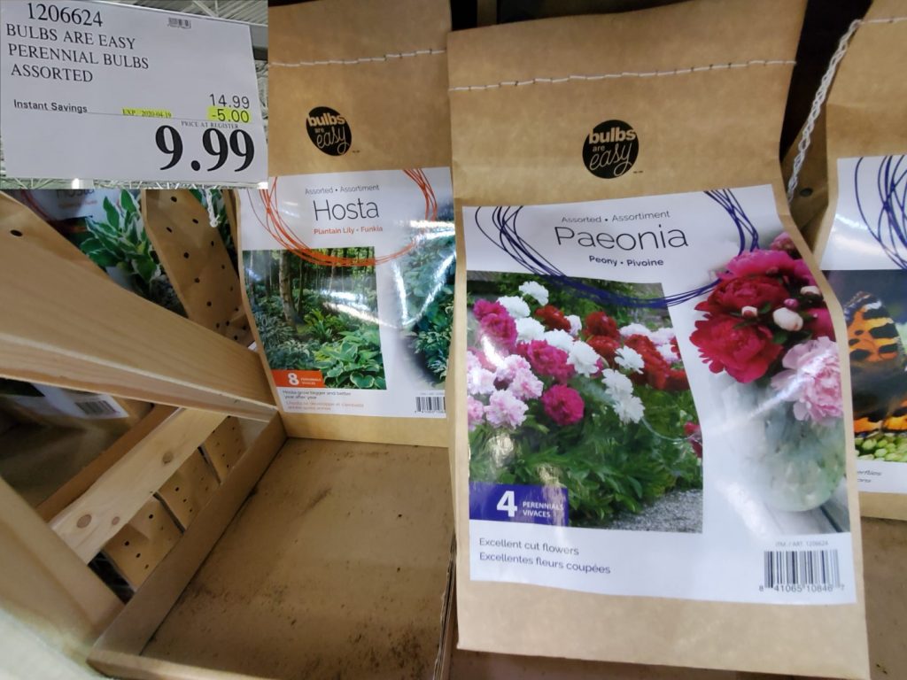 1206624 BULBS ARE EASY PERENNIAL BULBS ASSORTED 5 00 INSTANT SAVINGS