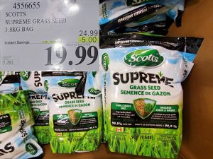 scotts grass seed