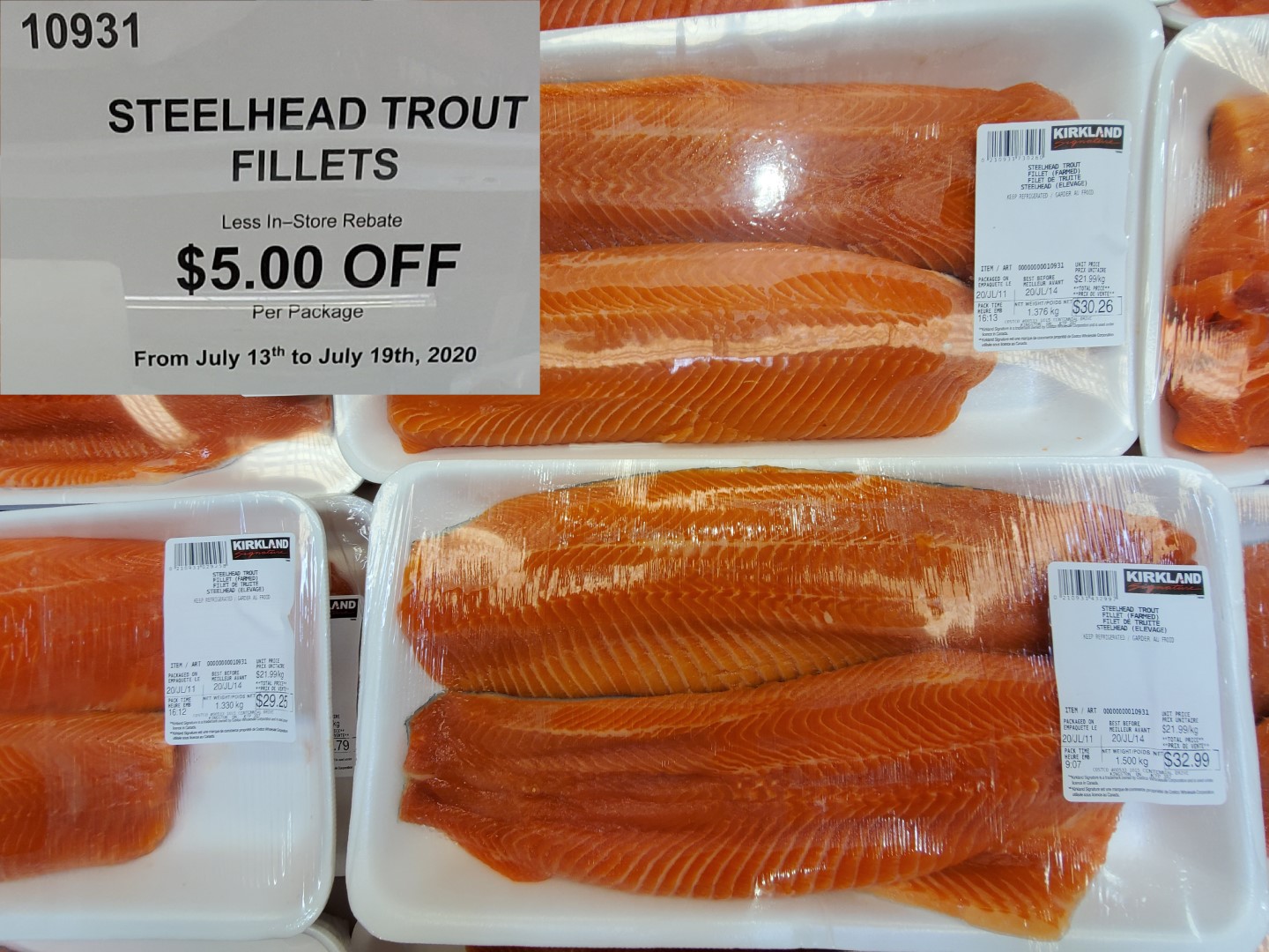 steelhead trout fillets