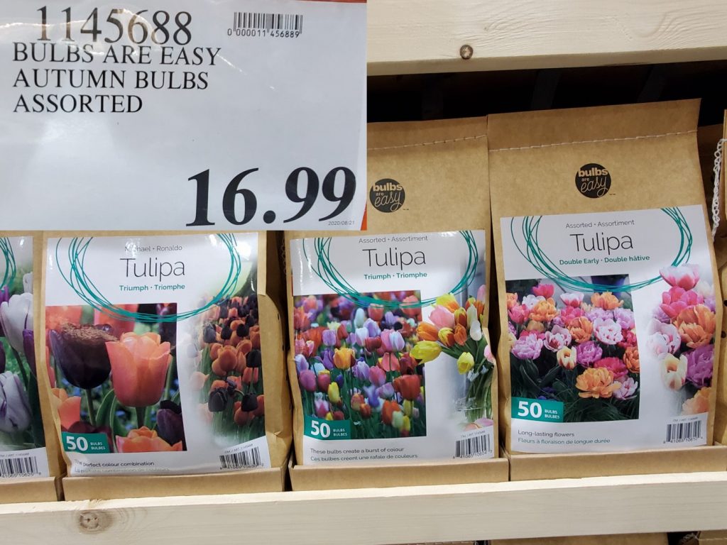 1145688 BULBS ARE EASY AUTUMN BULBS ASSORTED 16 99 Costco East Fan Blog
