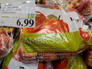 ambrosia apples