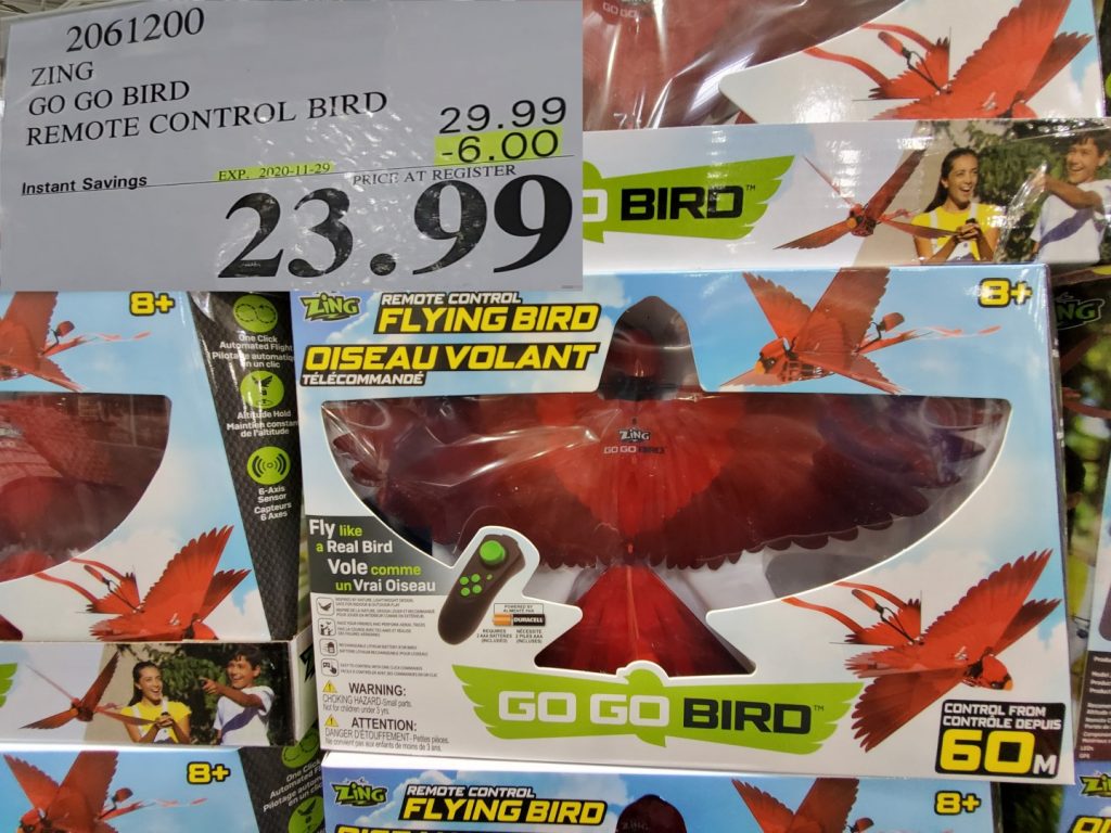 zing gogo bird