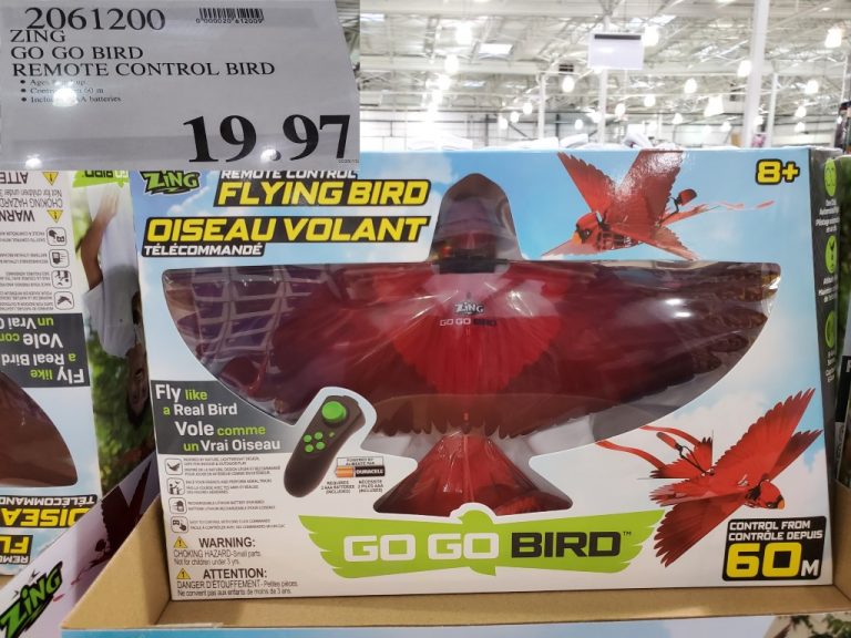 zing gogo bird