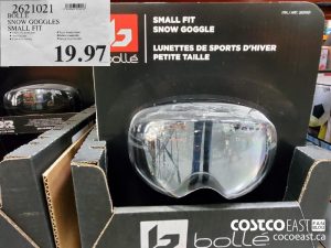 Lunette de ski costco best sale