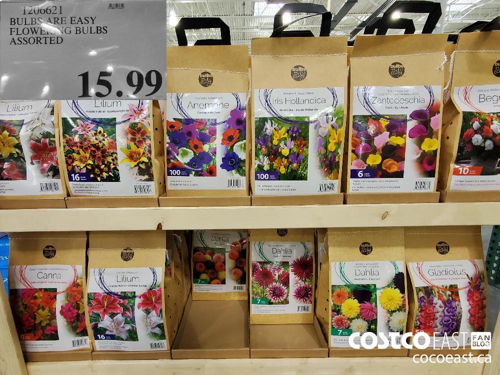 1206621E EASY FLOWERING BULBS $15.99