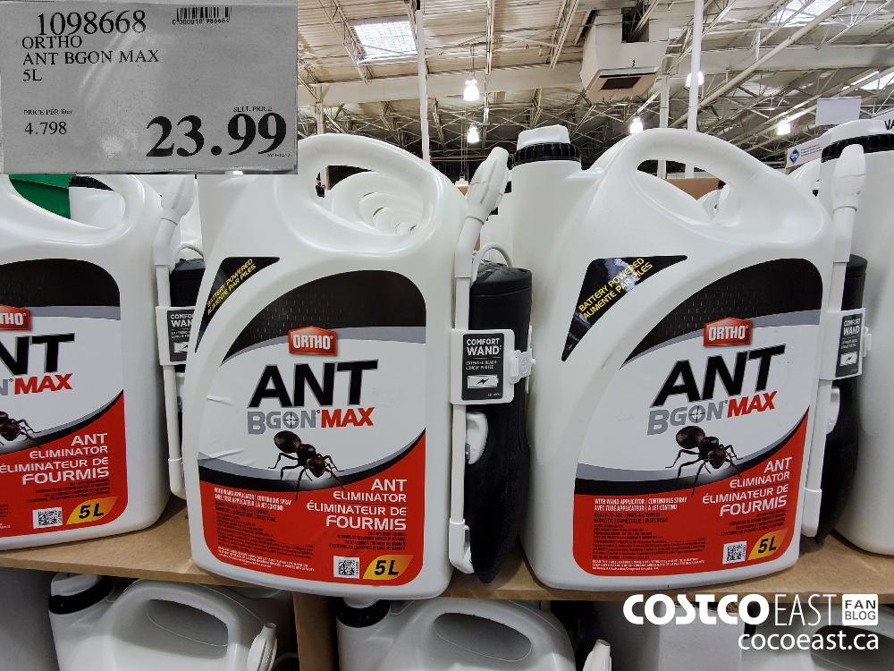 1098668 ORTHO ANT BGON MAX 5L $23.99