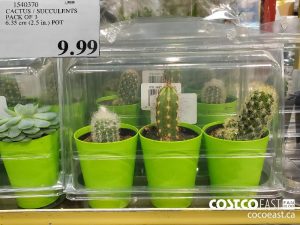 1540370
CACTUS / SUCCULENTS
PACK OF 3
6.35 cm (2.5 in.) POT
$9.99
