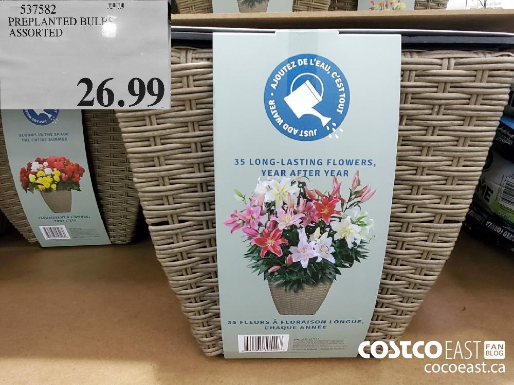 537582 PREPLANTED BULB ASSORTED $26.99