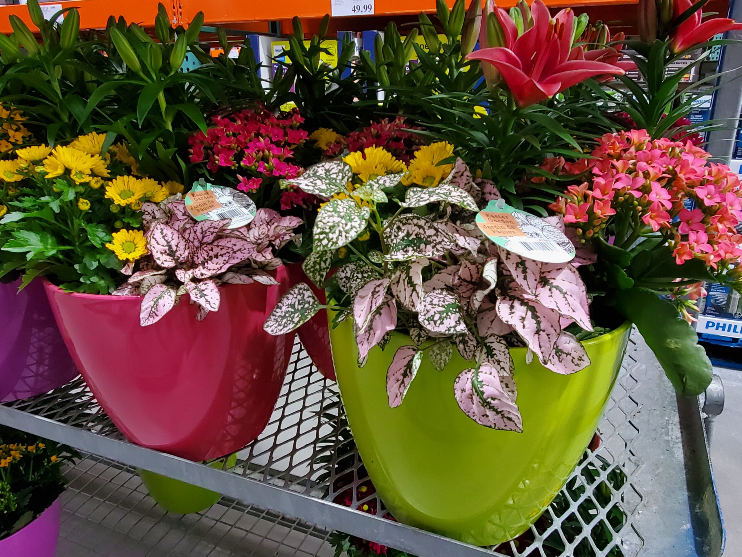 easter flower arrangement