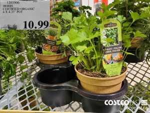 1203506
HERBS
- CERTIFIED ORGANIC
4 X 4.33" POT
$10.99
