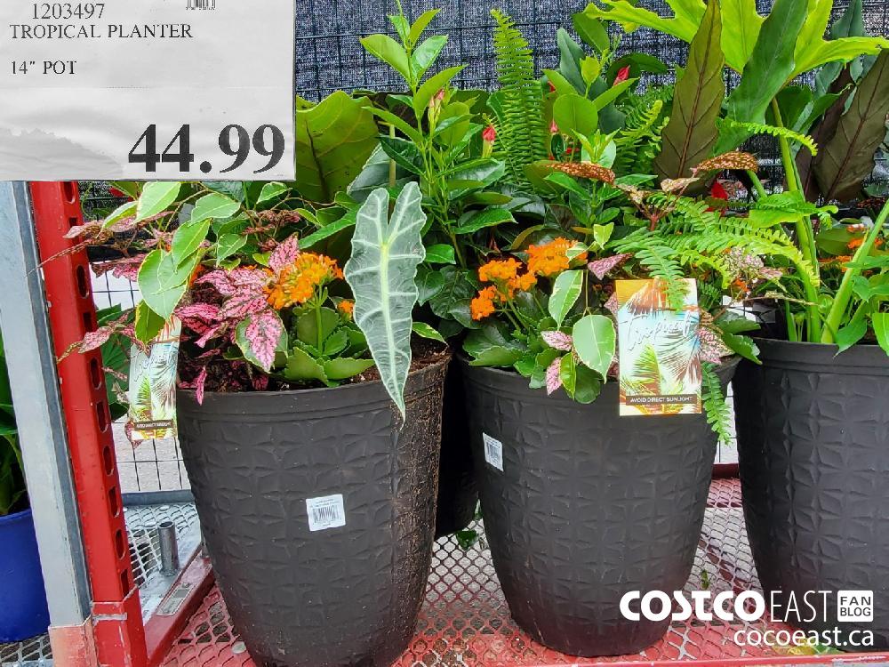 1203497 TROPICAL PLANTER 14" POT $44.99