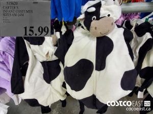 512620
CARTER'S INFANT COSTUMES SIZES 6M-24M 
$15.99