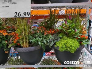 1209528
FALL PLANTER 16" POT 
$26.99