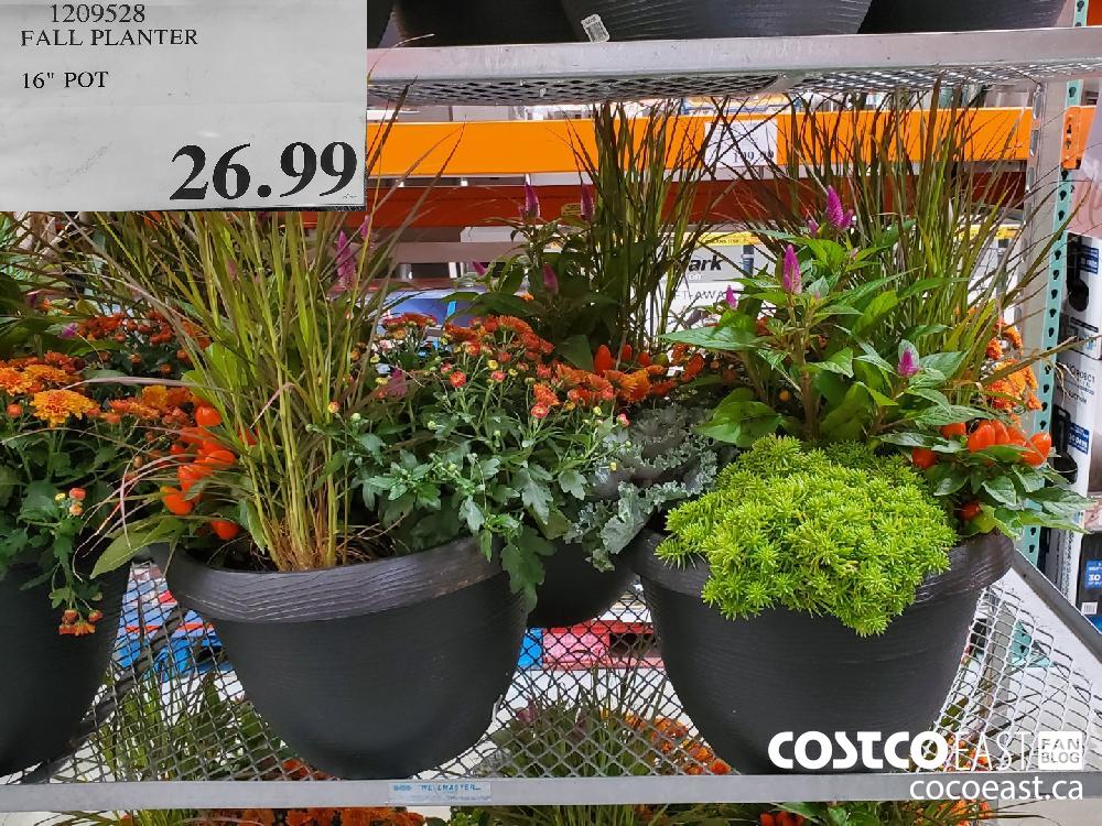 1209528 FALL PLANTER 16" POT $26.99