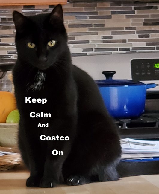 Costco weekend Sales April 29th - May 1st 2022 – Ontario, Quebec & Atlantic  Canada - Costco East Fan Blog