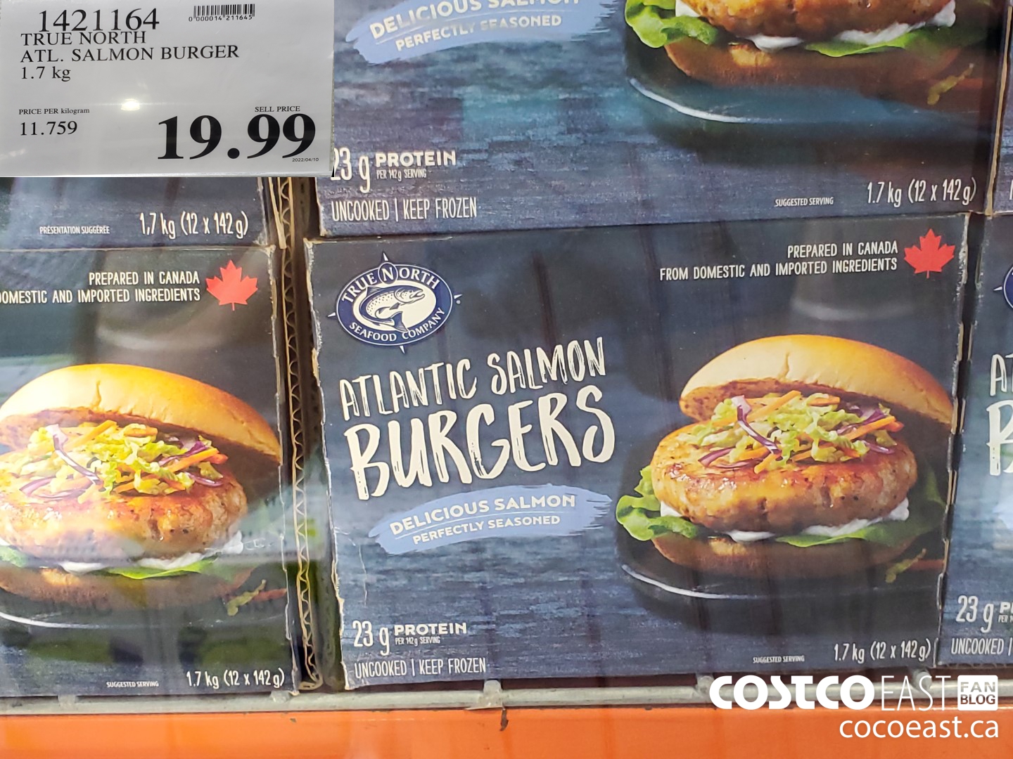 True North debuts frozen salmon portions, burgers in US