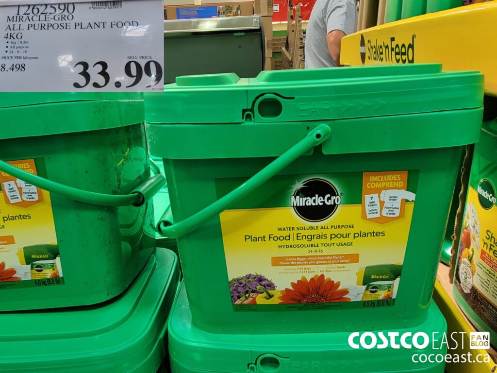 1262590 MIRACLE GRO ALL PURPOSE PLANT FOOD 4KG 33 99 Costco East Fan Blog